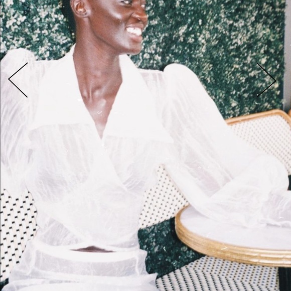 Maison Cleo Julie Crinkled Silk Organza Blouse xs - Picture 4 of 13